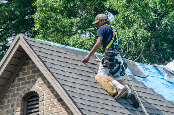 Best Flat Roof Repair Services  in Hebron, NE